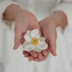 Mindfulness Based Living Course (MBLC) (8 weeks online)