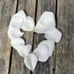 ‘Heartfelt’  Compassion-Based Mindfulness Course (in person)