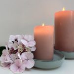 Mindful Mondays & Chair Yoga Bundle